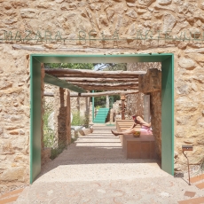 El camino de la Almazara